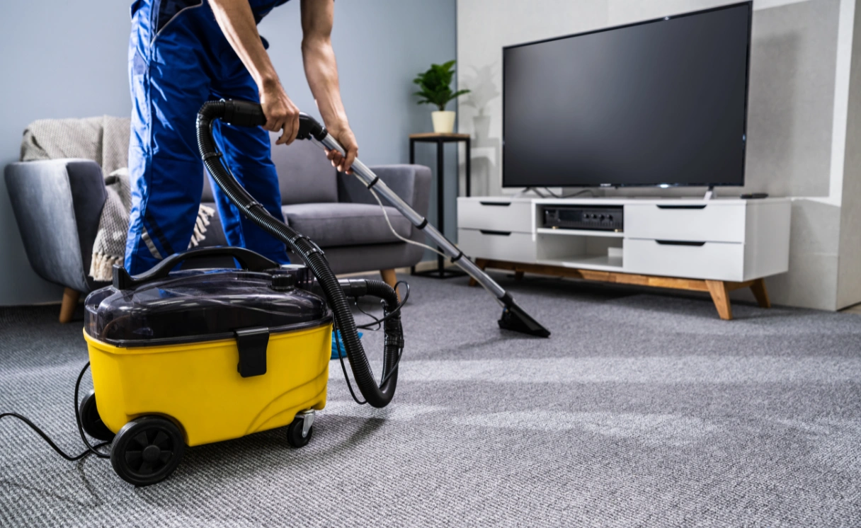 Extract Upholstery Cleaning Ormond Contact Office